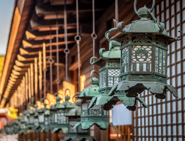 Lanterns at Kasuga Shrine, Nara